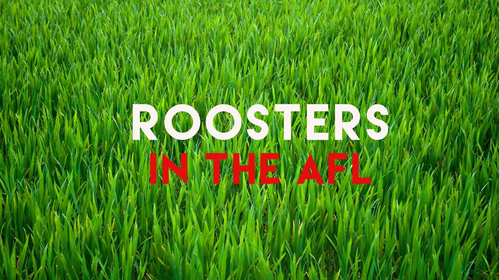 AFL Players | NAFC